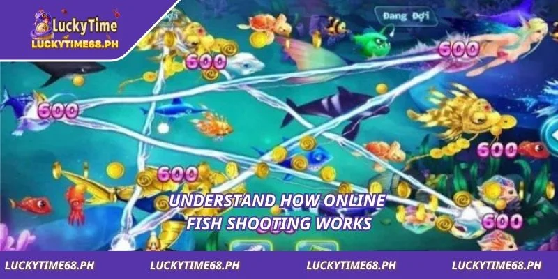 Understand how online fish shooting works