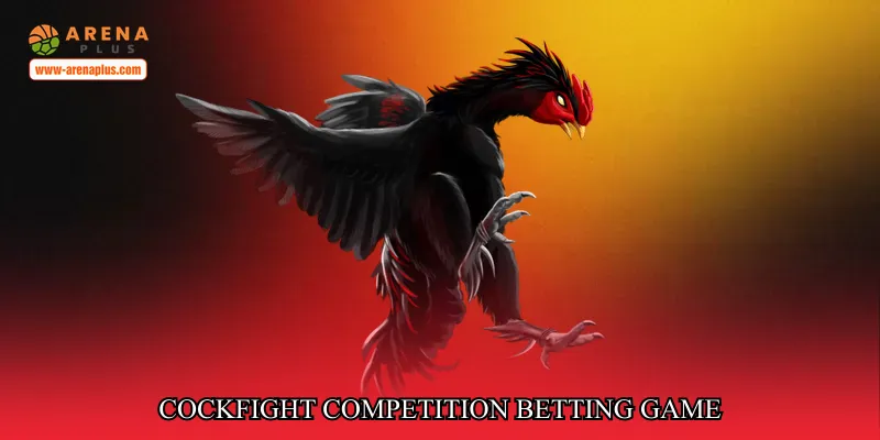 cockfight competition betting game