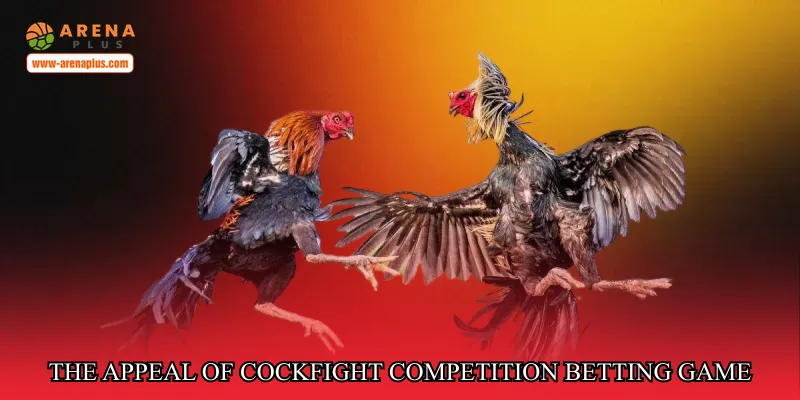 The Appeal of Cockfight Competition Betting Game